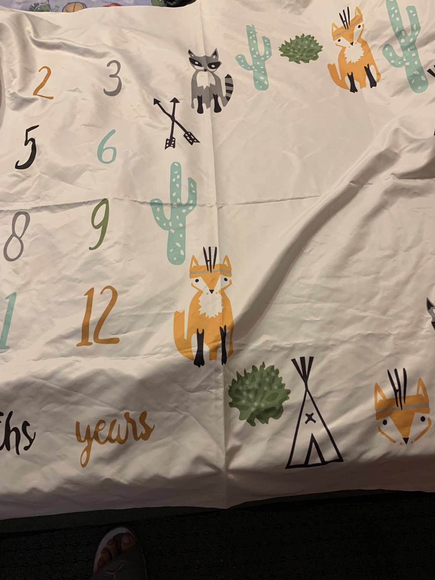 Baby Milestone Chart