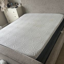 Sealy Cali King Memory Foam Mattress