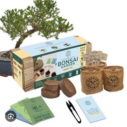 New Garden Republic Bonsai Tree Kit