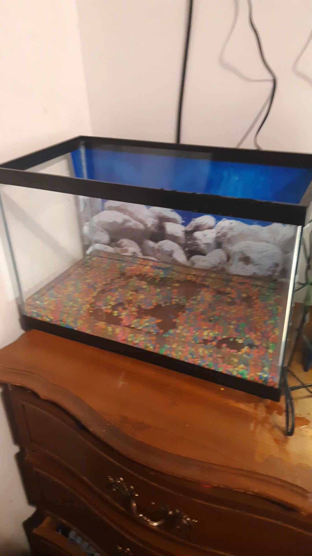 Fish tank 10 g
