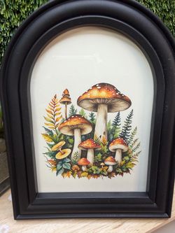 Mushroom picture brand new