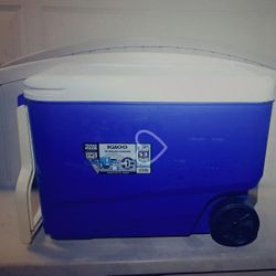 Igloo Cooler