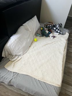 Dog Bed
