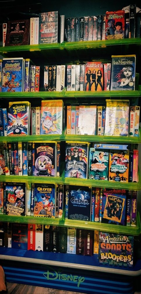 Disney VHS & DVD Storage Display
