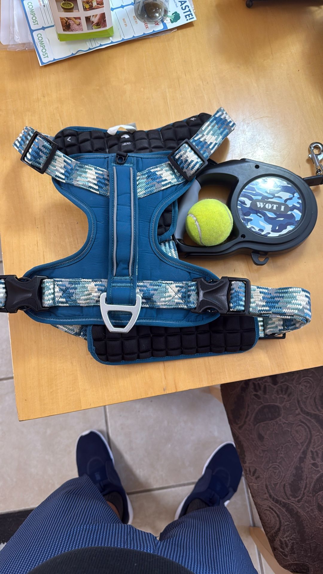 Harness,leash,play Ball.
