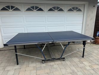 Ping Pong Table
