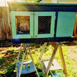 Chicken Coop Or Bunny Cages