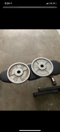 Olympic barbell and 90lbs of weight