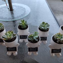 Succulents "Back To School"  $10/ea.