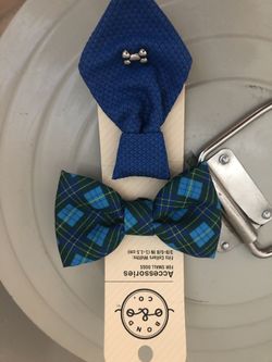 Dog collar accessories