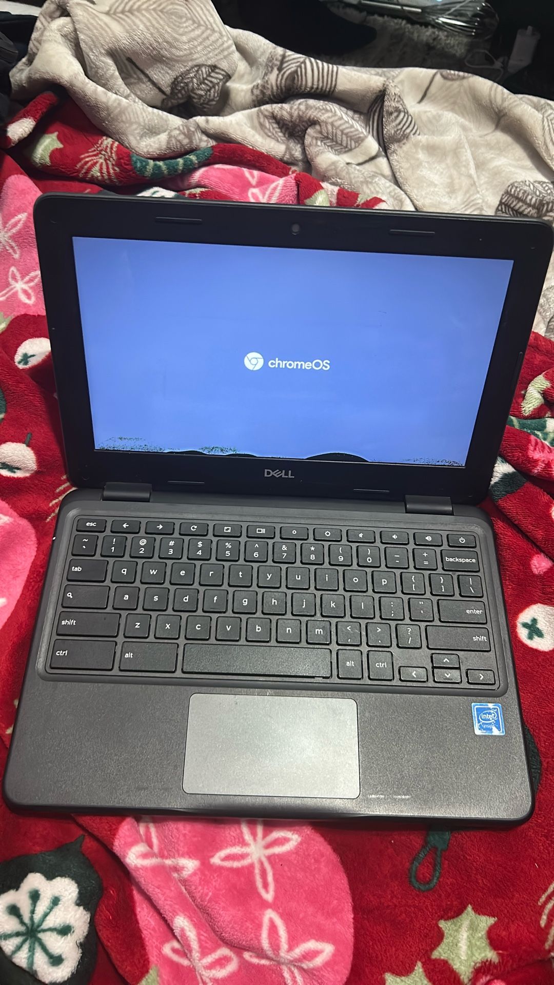 dell computer