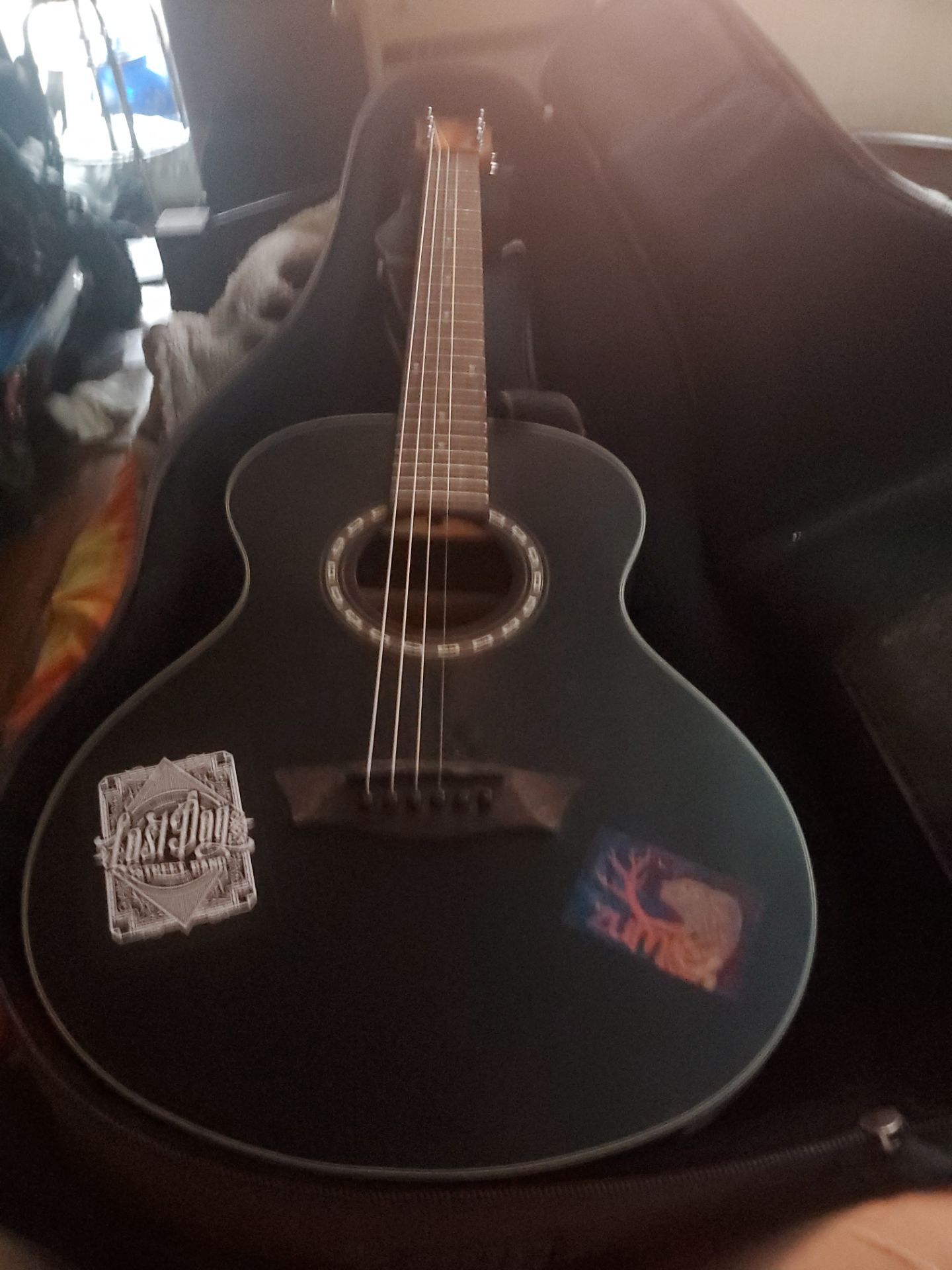 Washburn Apprentice G Mini5