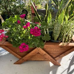 Large Wooden Planter With Plants