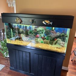 55 Gallon Fish tank 