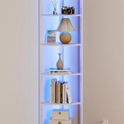Organizer Shelf 