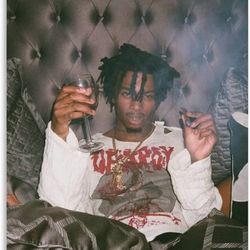 Playboy Carti Poster 