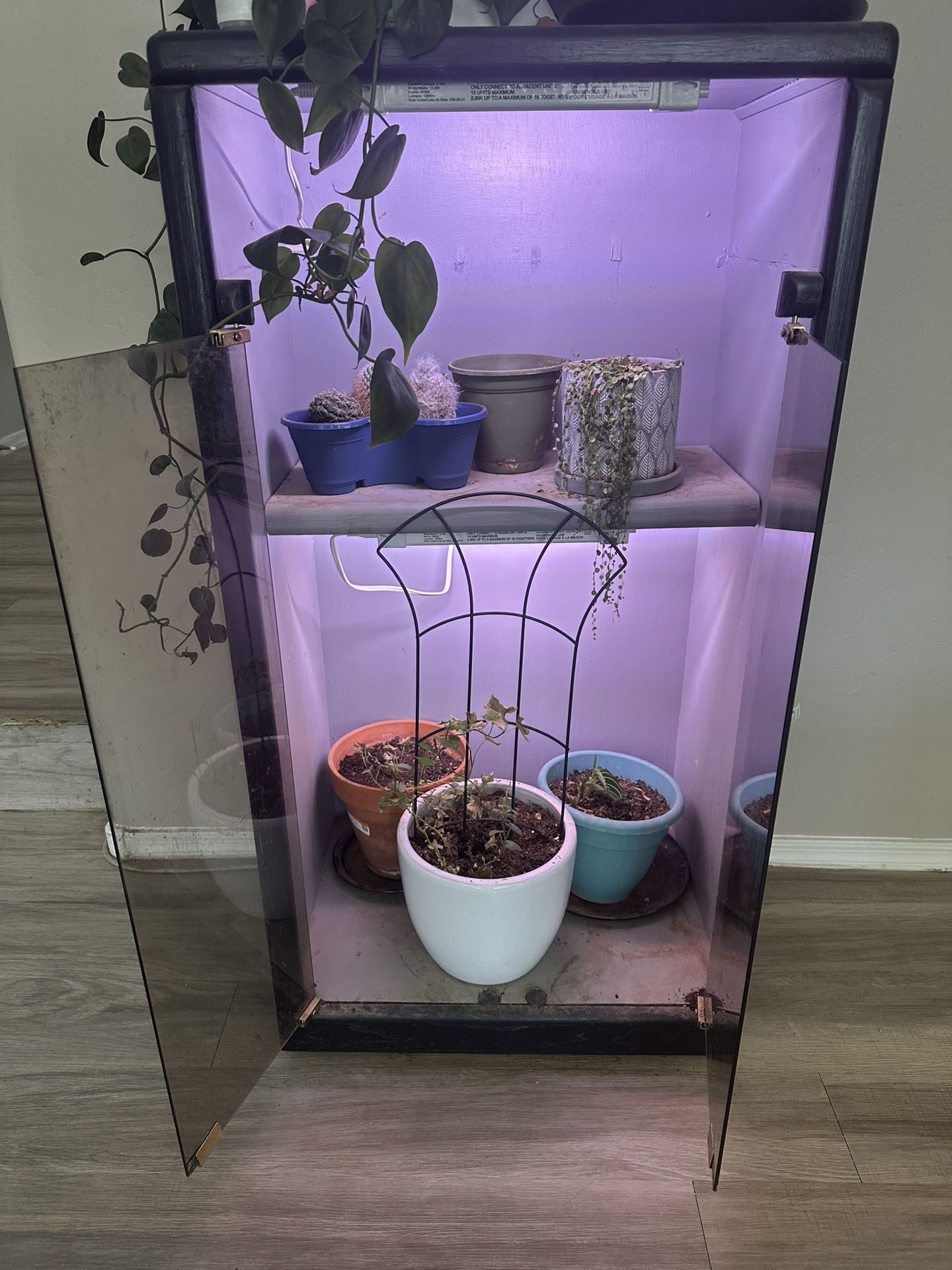 Cabinet / Plant Nursery