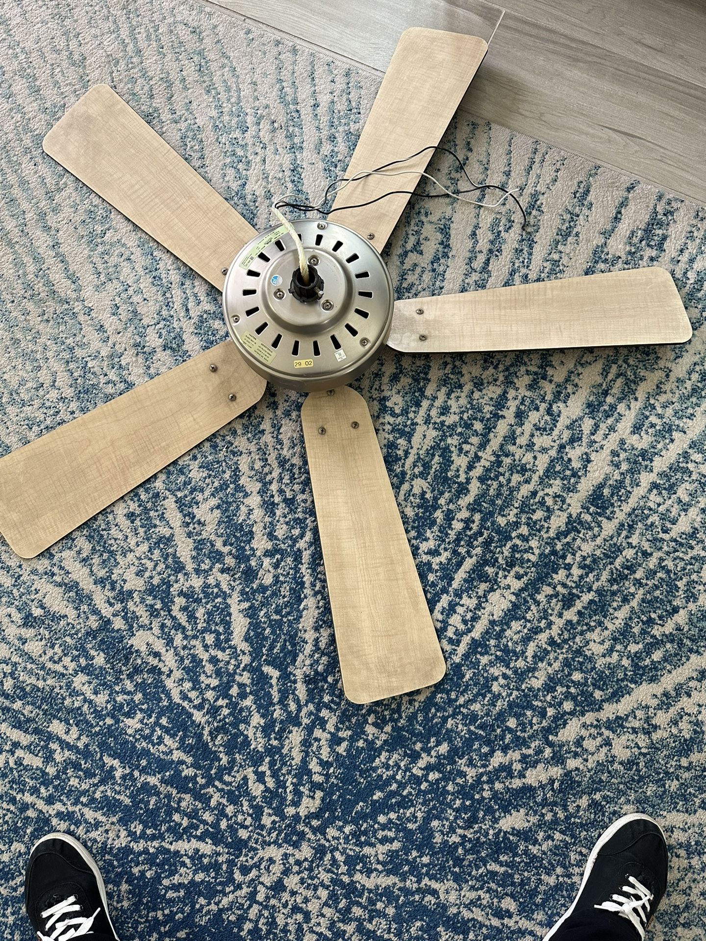 Ceiling Fan