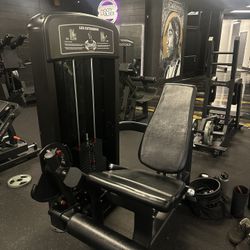 Leg Extension