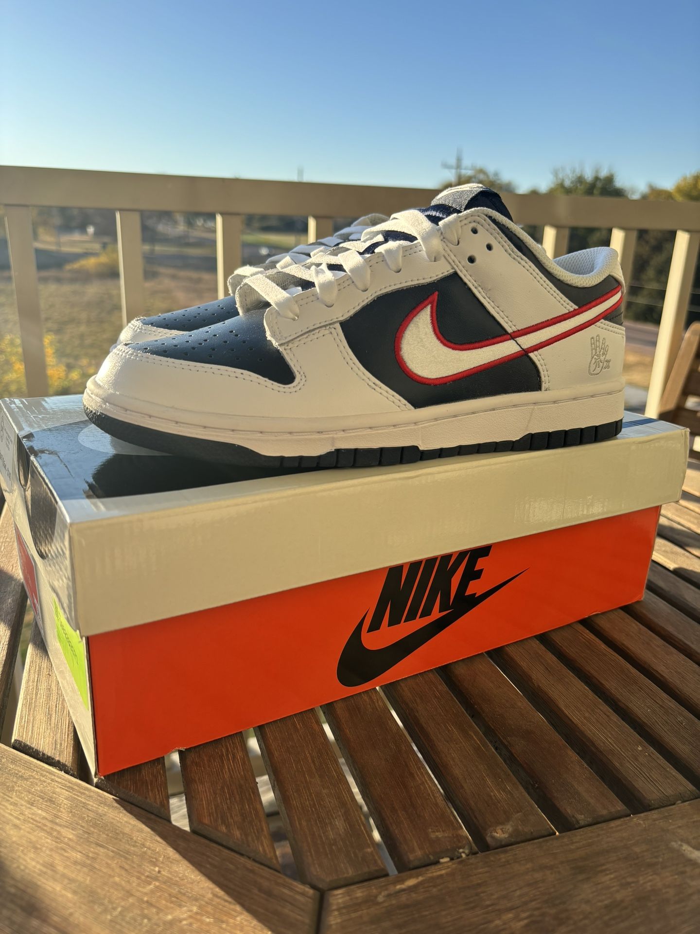 Size 7 Men's/8.5 Women's Nike Dunk Low Premium Houston Comets Four Peat