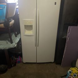 Fridge Raider
