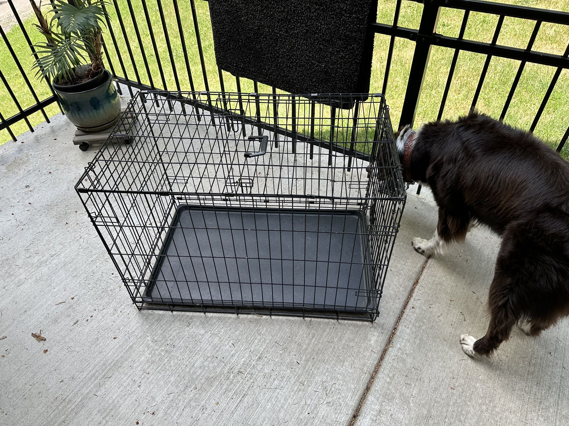 Dog Crate