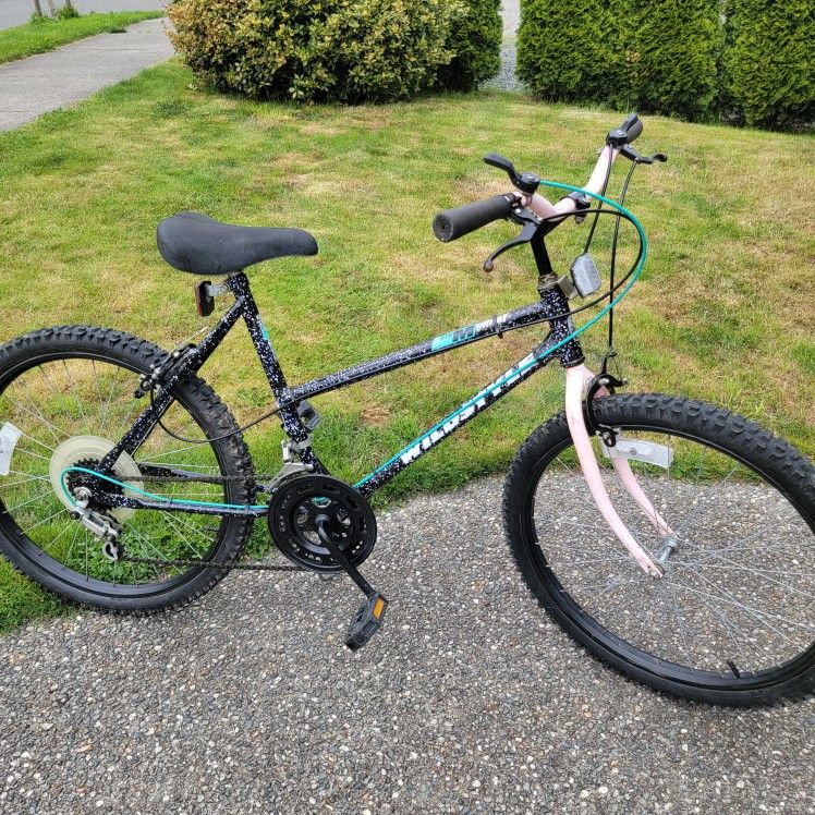 MURRAY WILDSTYLE BIKE