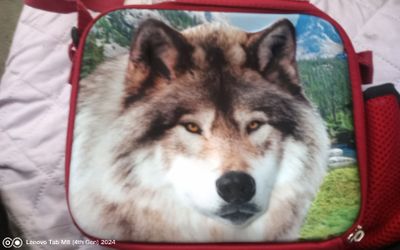 Wolf lunch box.