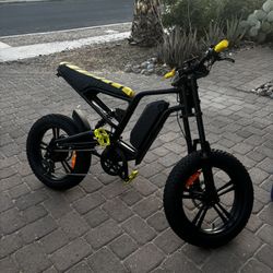 Wind One E2 Electric Bike – 750W | 48V | 28+ MPH | Full Suspension