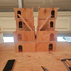 Nest Boxes 