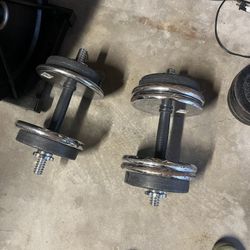 Adjustable Dumbbells + Weights 