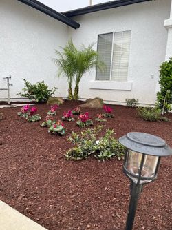 Landscape and hard scape.