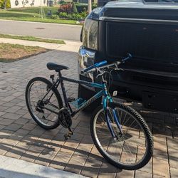 Diamond Back Mountain Bike 