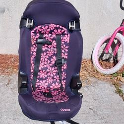 Costco Booster Carseat 
