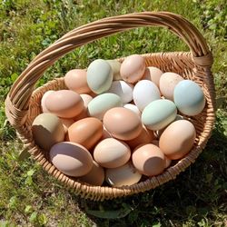 Fresh Eggs 🪺  $5 A Dozen 