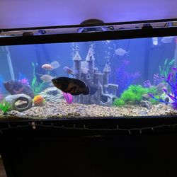 75 Gallon Fish Tank/stand/canopy