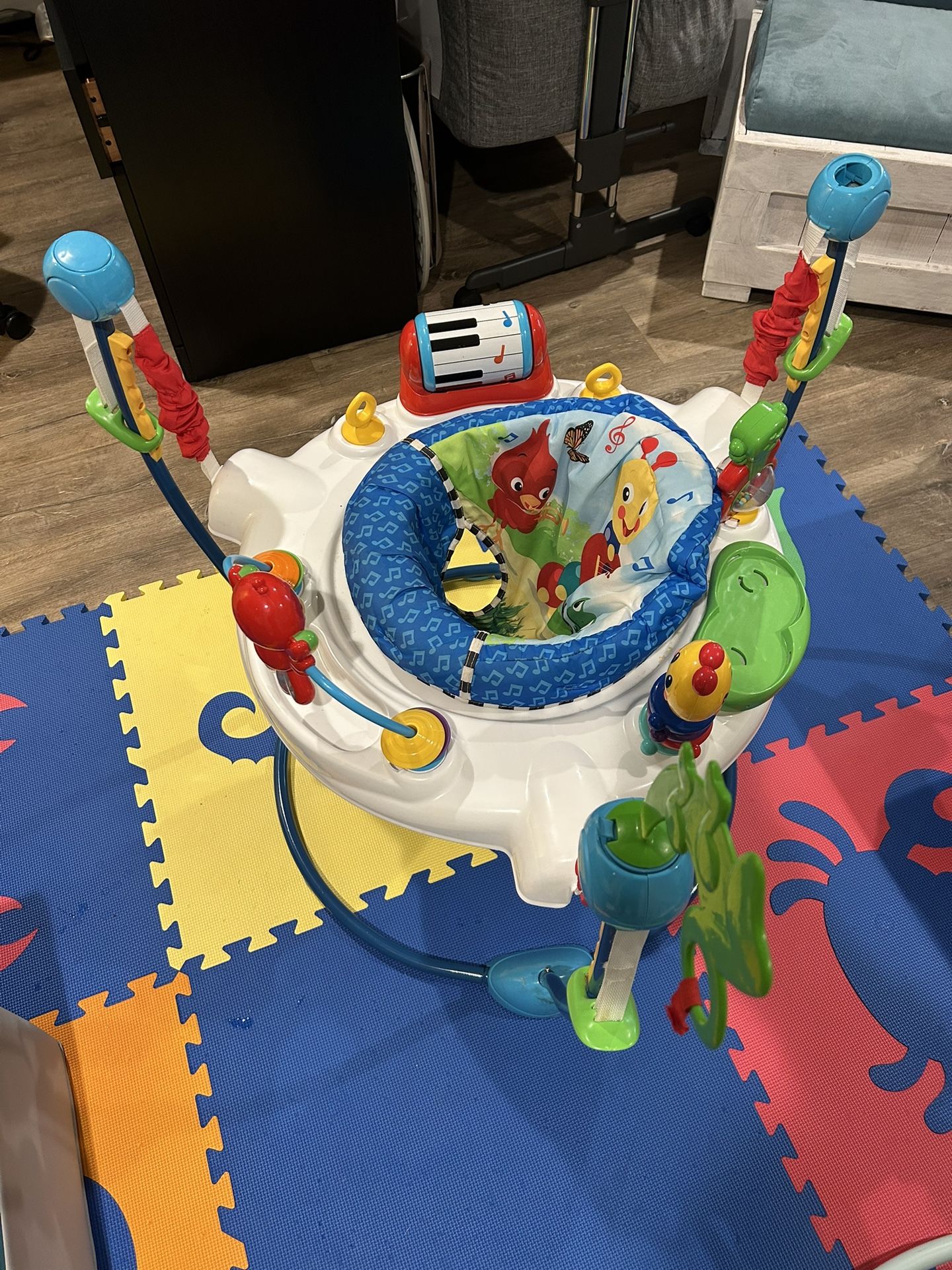 Baby Einstein jumper