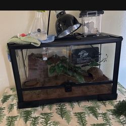 10 Gal Reptile Enclosure