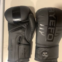 Jayefo R-6 Boxing Gloves