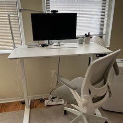 Motorized Standing Desk & Office Chair