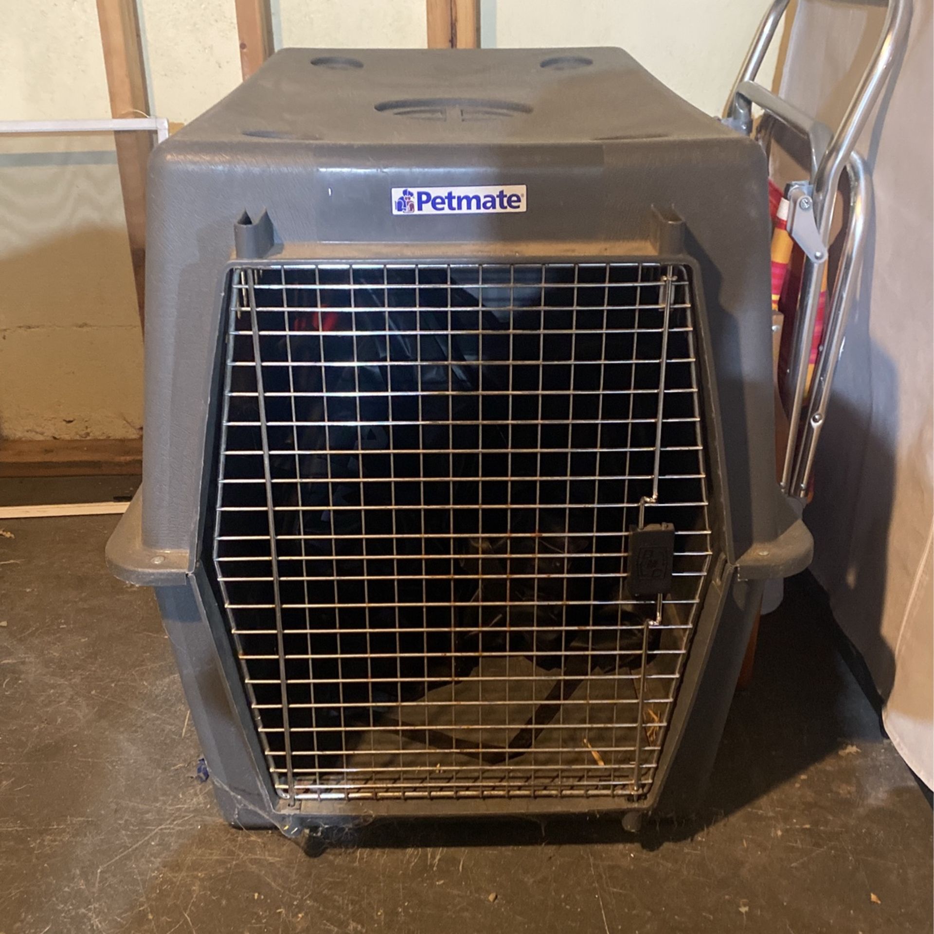 Dog Kennel