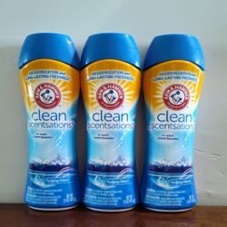 Arm & Hammer In- Wash Scent Booster 