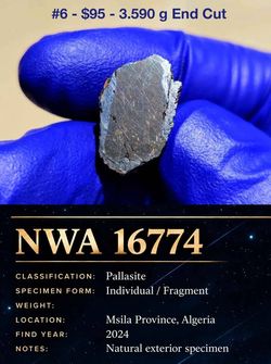 Meteorites from Outer Space!