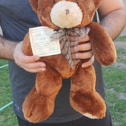 Mary Meyer Teddy Bear Plush. Got To See