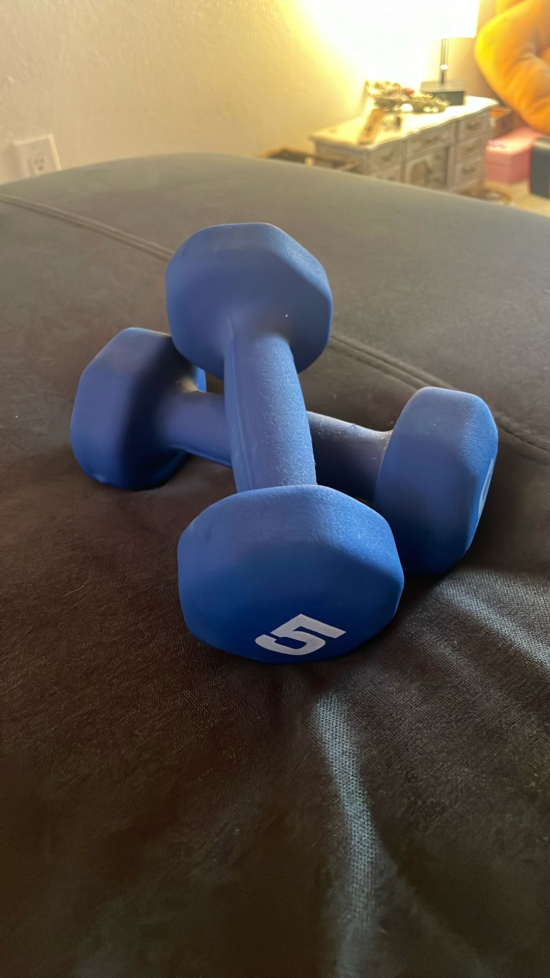 5 Lb Dumbbells