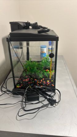 Fish tank