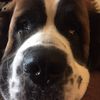 Amy