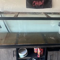 125 Gal Fish Tank