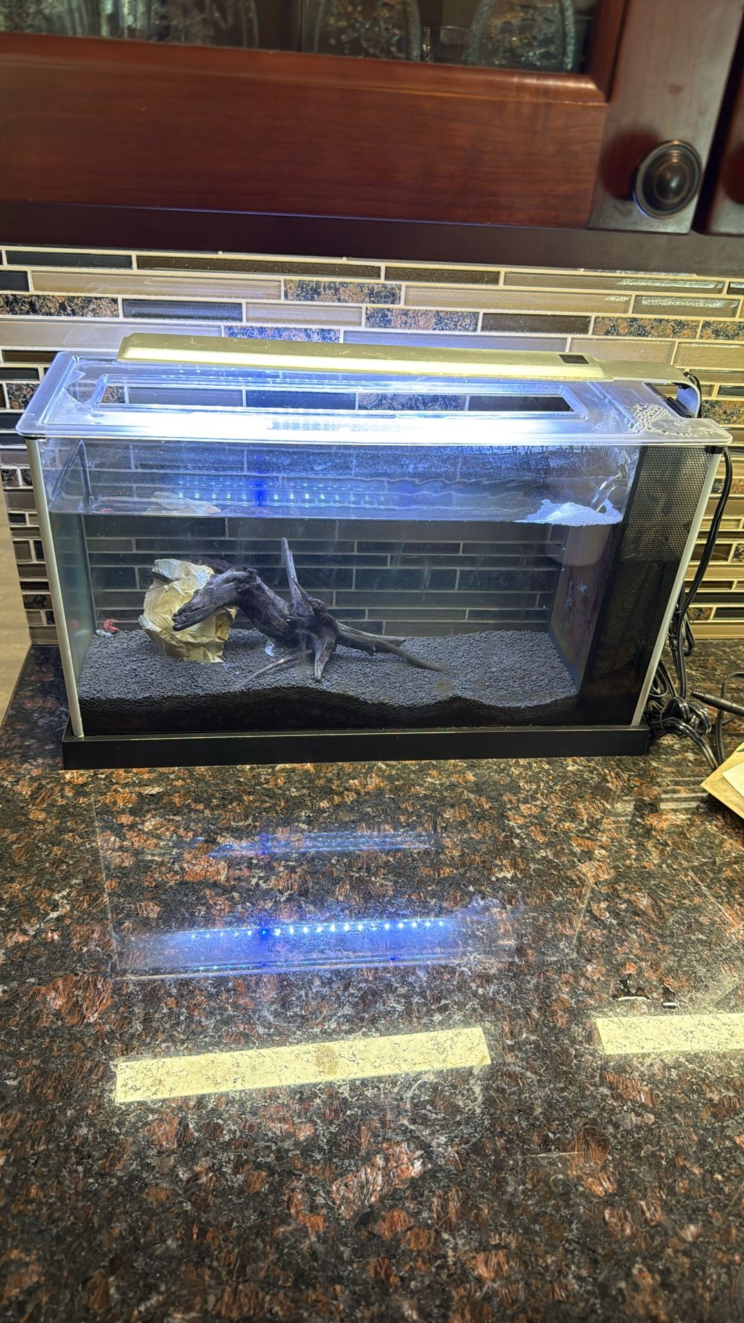 5 Gal Fish Tank