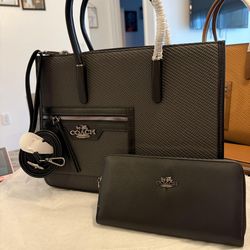Women Bag set